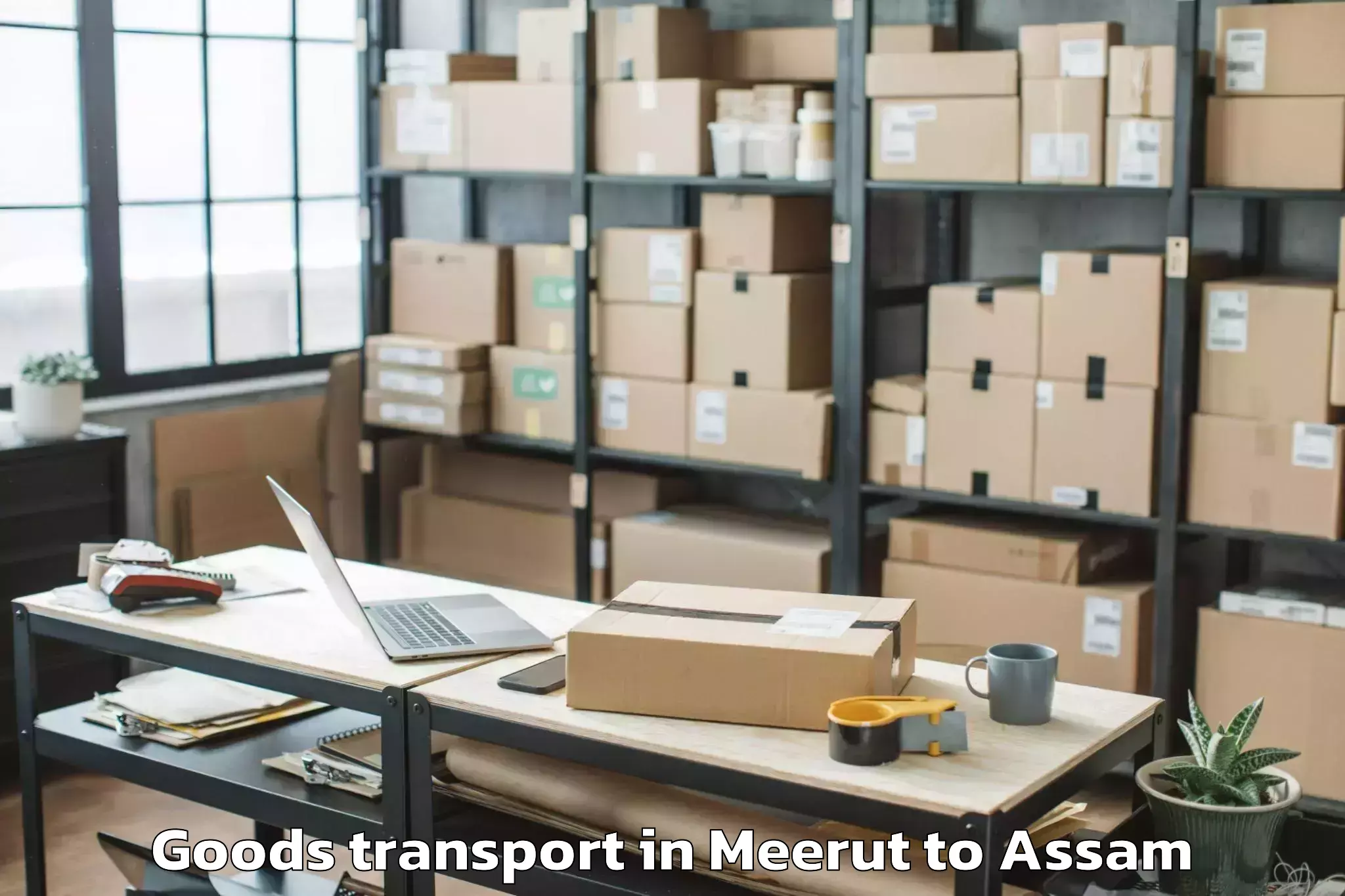 Book Meerut to Helem Goods Transport